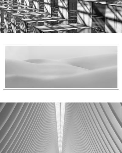 ASP Zoom - Anthony Marrill “Enigmatic Images: Mostly Black and White”
